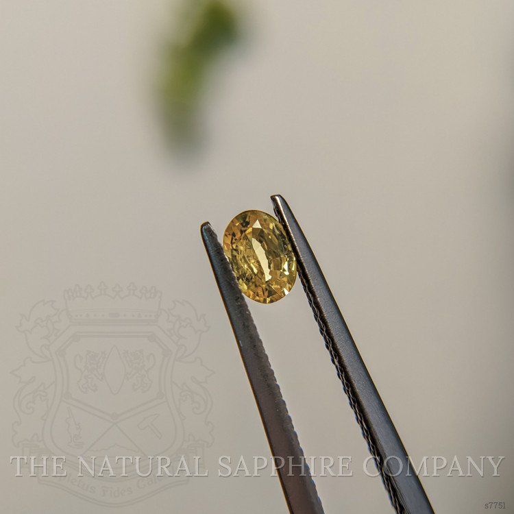 0.44 Ct. Orangish Yellow Sapphire from Madagascar