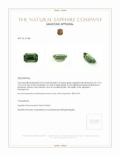 Jewelry Appraisal