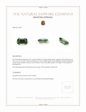 0.41 Ct. Bluish Green Sapphire from Madagascar Appraisal