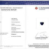 Jewelry Scan Report