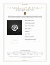 Jewelry Scan Report
