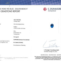9.28 Ct. Sapphire from Ceylon (Sri Lanka) Scan Report