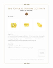 3.74 Ct. Yellow Sapphire from Ceylon (Sri Lanka) Appraisal