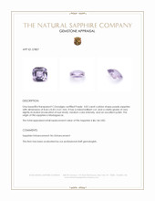 3.02 Ct. Purple Sapphire from Madagascar Appraisal