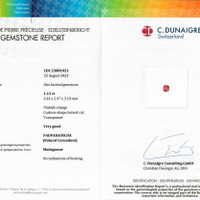 1.13 Ct. Padparadscha Sapphire from Madagascar Scan Report