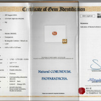 1.03 Ct. Padparadscha Sapphire from Ceylon (Sri Lanka) Scan Report