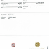 Jewelry Scan Report