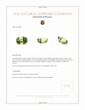 Jewelry Appraisal