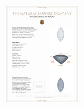 Jewelry 3 D Scan Report