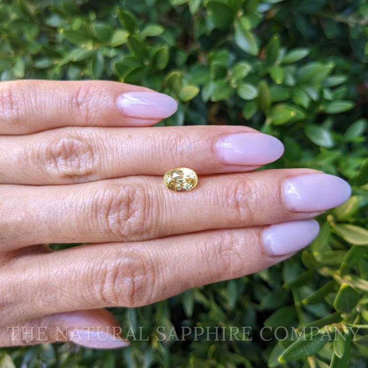 2.08 Ct. Yellow Sapphire from Ceylon (Sri Lanka)