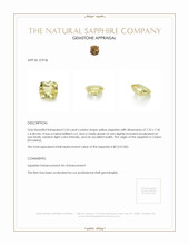 Jewelry Appraisal