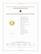 Jewelry Scan Report