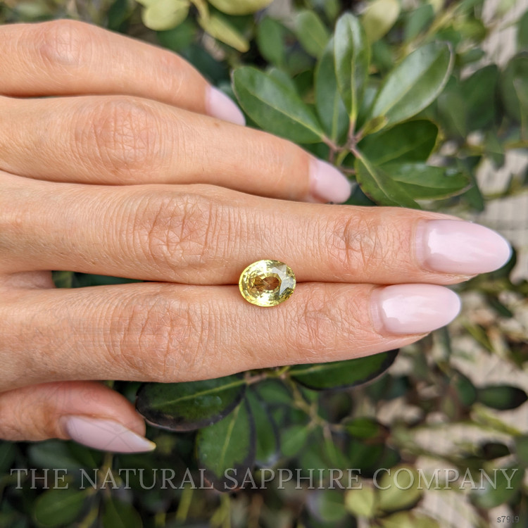 3.06 Ct. Yellow Sapphire from Ceylon (Sri Lanka)