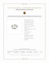Jewelry Scan Report
