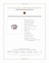 Jewelry Scan Report