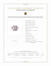 Jewelry Scan Report