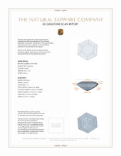 Jewelry 3 D Scan Report