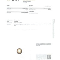 Jewelry Scan Report