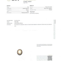 5.04 Ct. Black Star Sapphire from Thailand Scan Report
