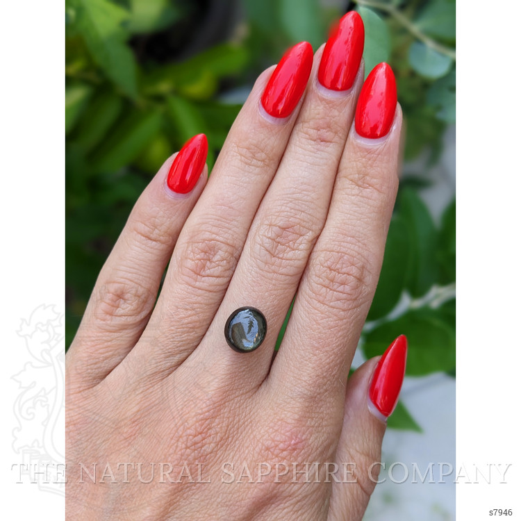 5.04 Ct. Black Star Sapphire from Thailand