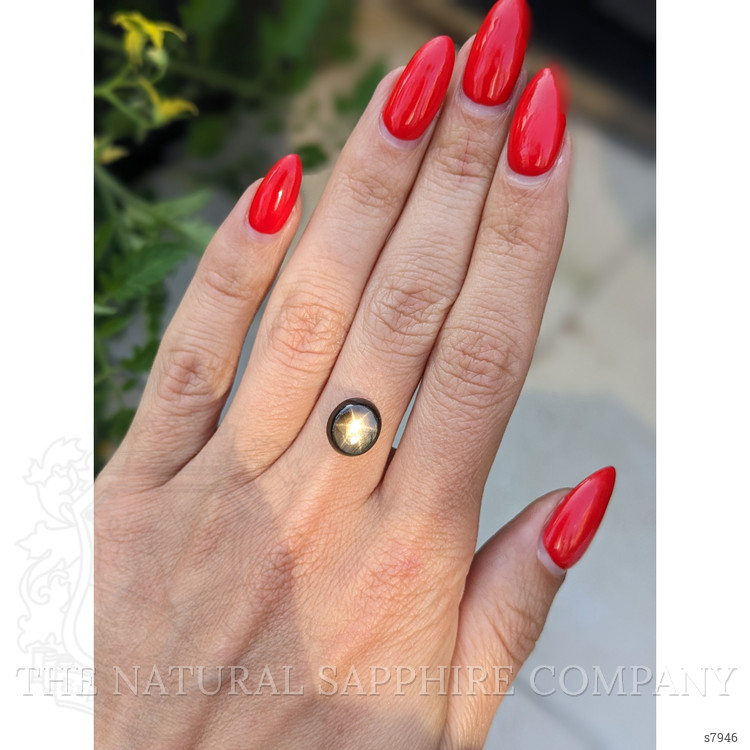 5.04 Ct. Black Star Sapphire from Thailand