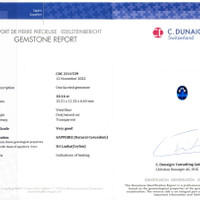 Jewelry Scan Report