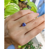 1.82 Ct. Blue Sapphire from Ceylon (Sri Lanka) Life Style