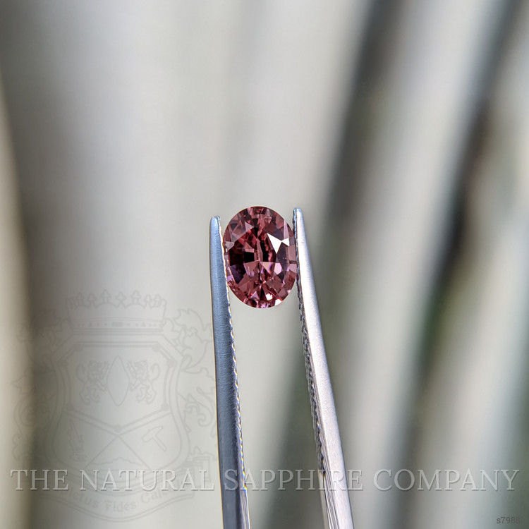 1.26 Ct. Reddish Pink Sapphire from Ceylon (Sri Lanka)