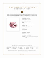 Jewelry Scan Report