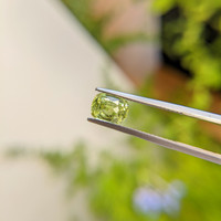 1.81 Ct. Yellowish Green Sapphire from Ceylon (Sri Lanka) Life Style