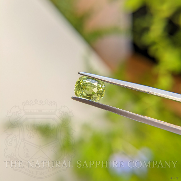 1.81 Ct. Yellowish Green Sapphire from Ceylon (Sri Lanka)
