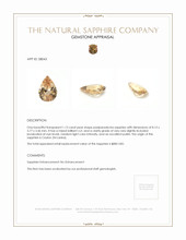 Jewelry Appraisal