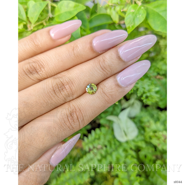 0.88 Ct. Yellowish Green Sapphire from Ceylon (Sri Lanka)