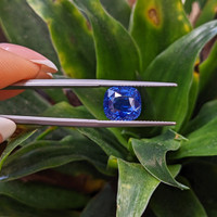 5.05 Ct. Blue Sapphire from Ceylon (Sri Lanka) Life Style