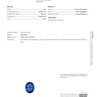 Jewelry Scan Report
