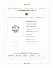 Jewelry Scan Report
