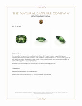 Jewelry Appraisal