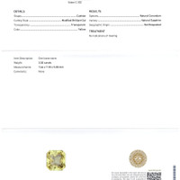 Jewelry Scan Report