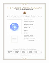 Jewelry Scan Report