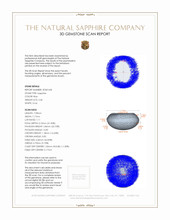 Jewelry 3 D Scan Report