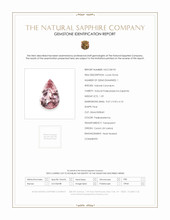 Jewelry Scan Report