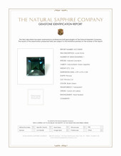 Jewelry Scan Report
