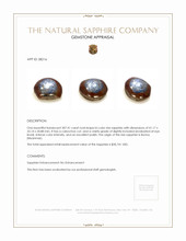 307.41 Ct. Bi Color Star Sapphire from Burma (Myanmar) Appraisal