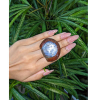 307.41 Ct. Bi Color Star Sapphire from Burma (Myanmar) Life Style
