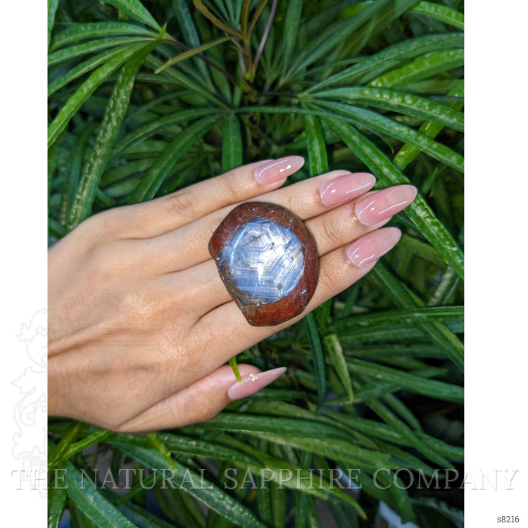 307.41 Ct. Bi Color Star Sapphire from Burma (Myanmar)