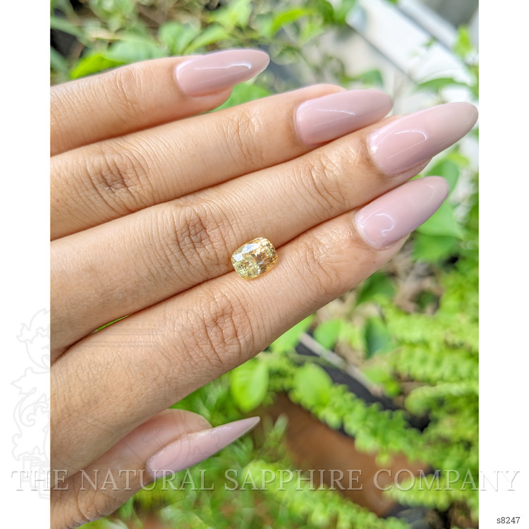 2.57 Ct. Yellow Sapphire from Ceylon (Sri Lanka)