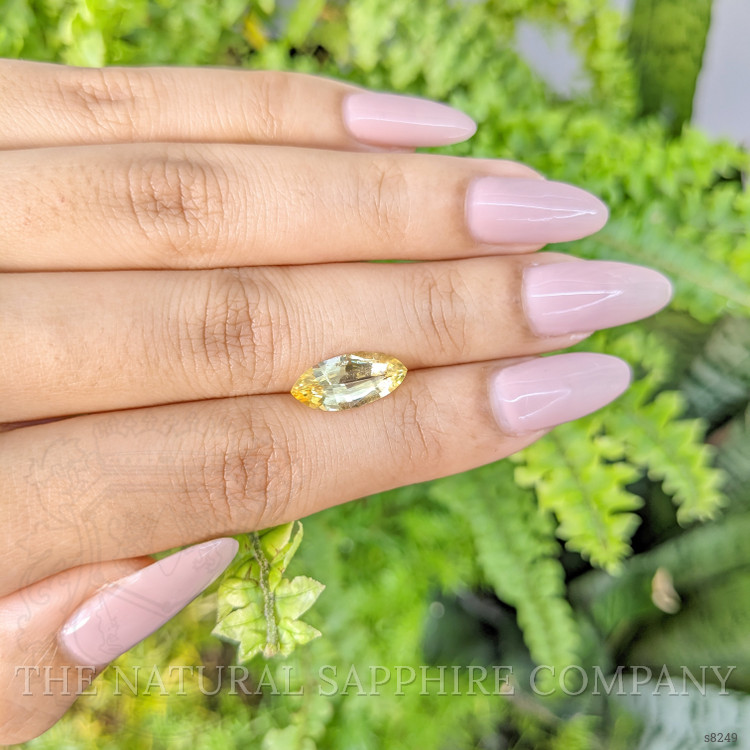 3.12 Ct. Yellow Sapphire from Ceylon (Sri Lanka)