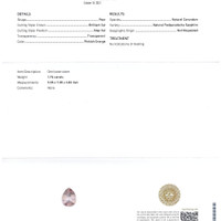 Jewelry Scan Report