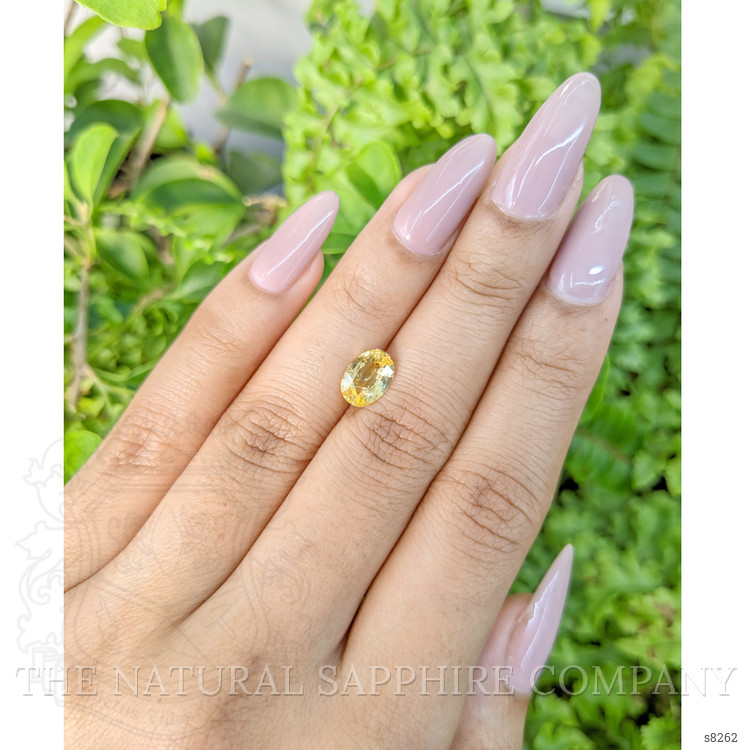 1.70 Ct. Yellow Sapphire from Ceylon (Sri Lanka)