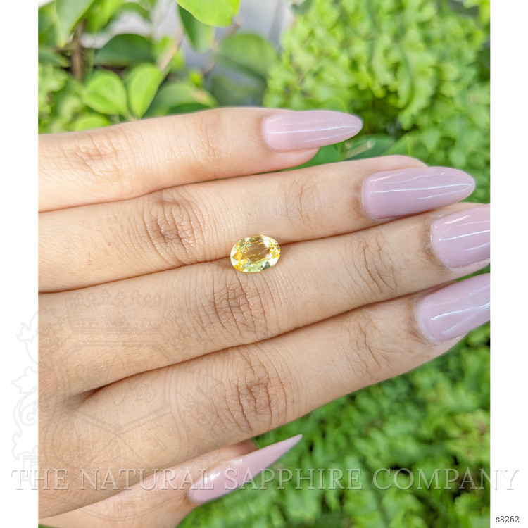 1.70 Ct. Yellow Sapphire from Ceylon (Sri Lanka)